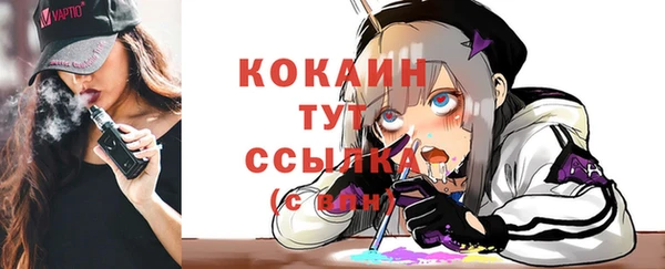 твердый Вязьма