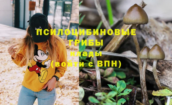МДМА Волоколамск