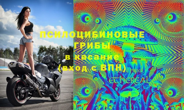 герыч Володарск